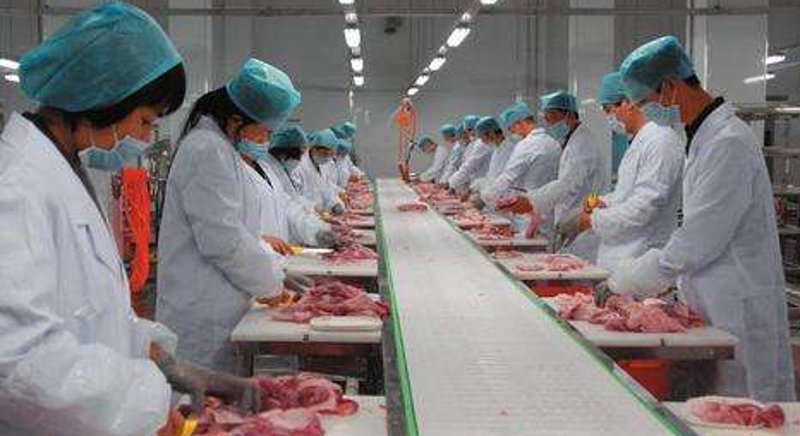 食品代加工行业：创新与挑战并存